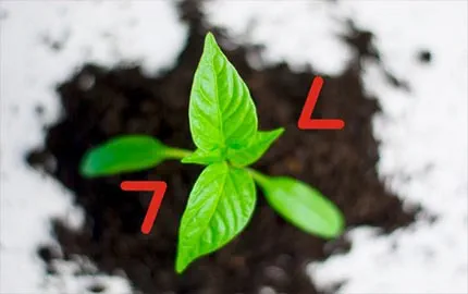 Comment faire face à un accroissement temporaire d'activité ? Comment faire face à un accroissement temporaire d'activité ?