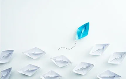 management-de-transition