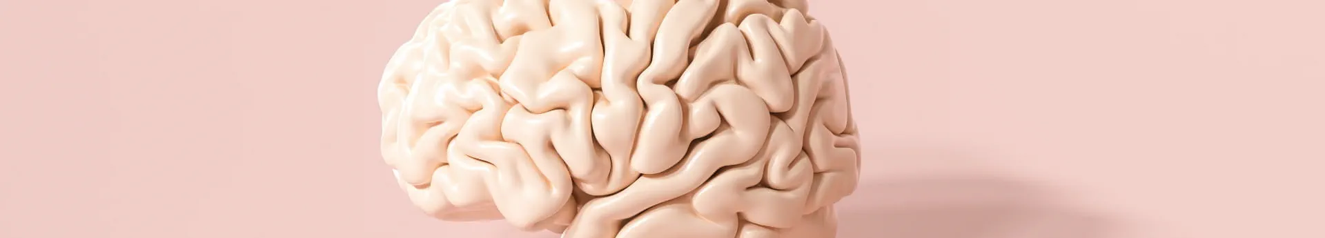brain-1920-x-345-px brain-1920-x-345-px