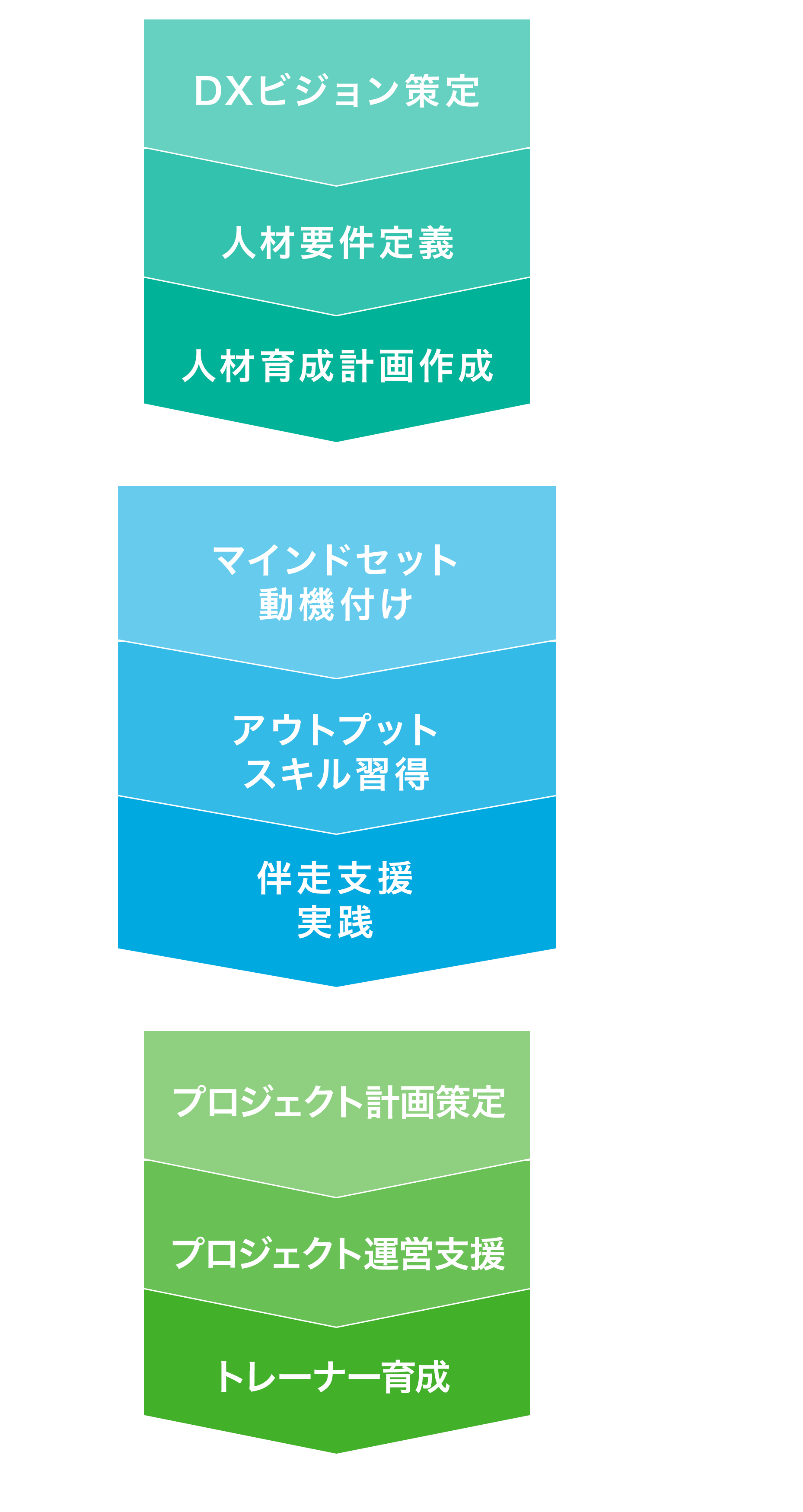 デジタル/DX人材育成支援
              プロセス図