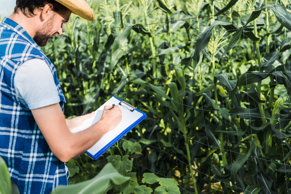 capataz-finca-agricola-funciones-gestion