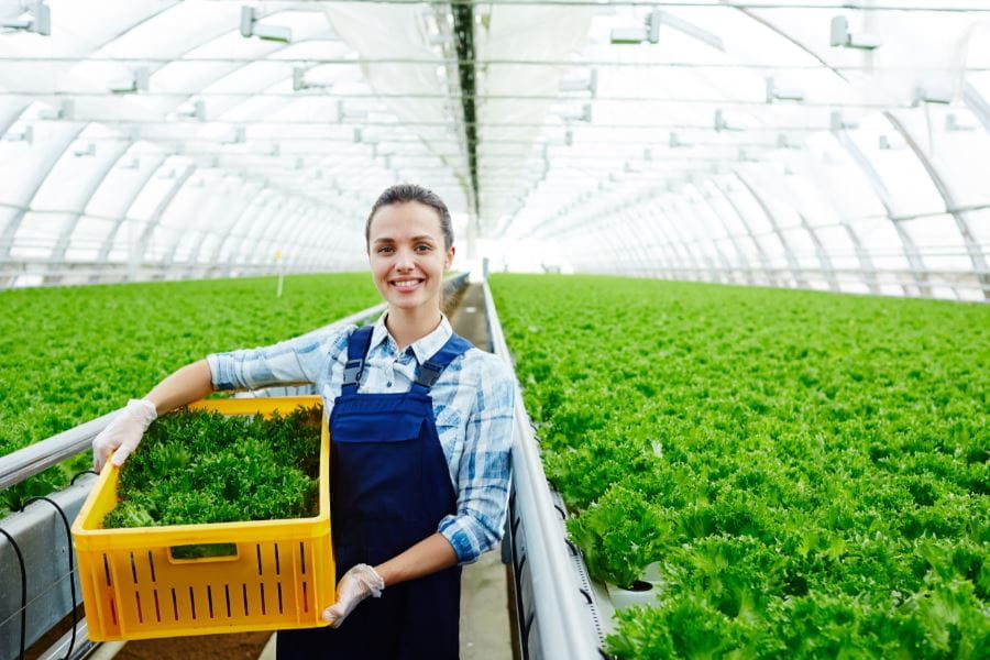 Jeune agricultrice souriante portant une caisse de laitue dans une serre