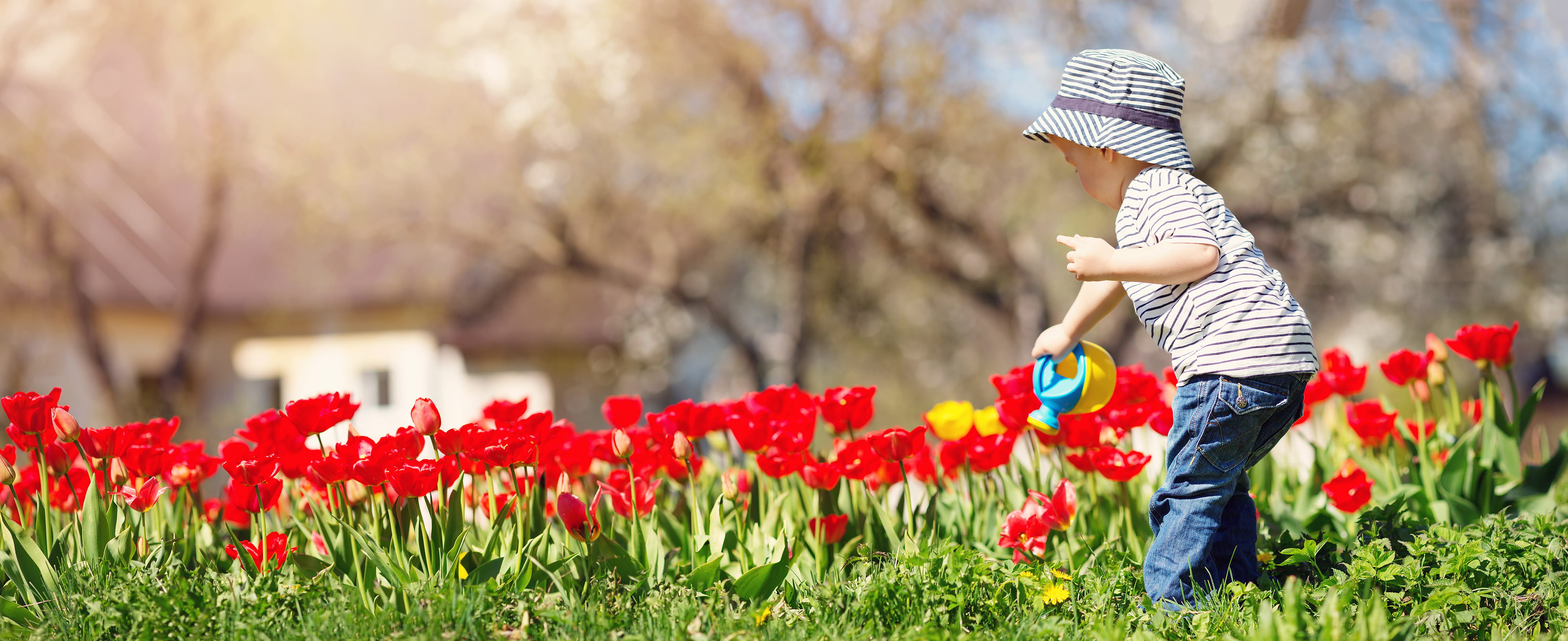 lente26