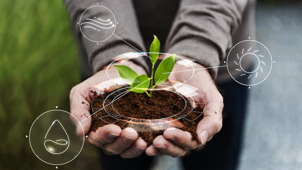 iot-agricultura-inteligente-fondo-arbol-plantacion-manual