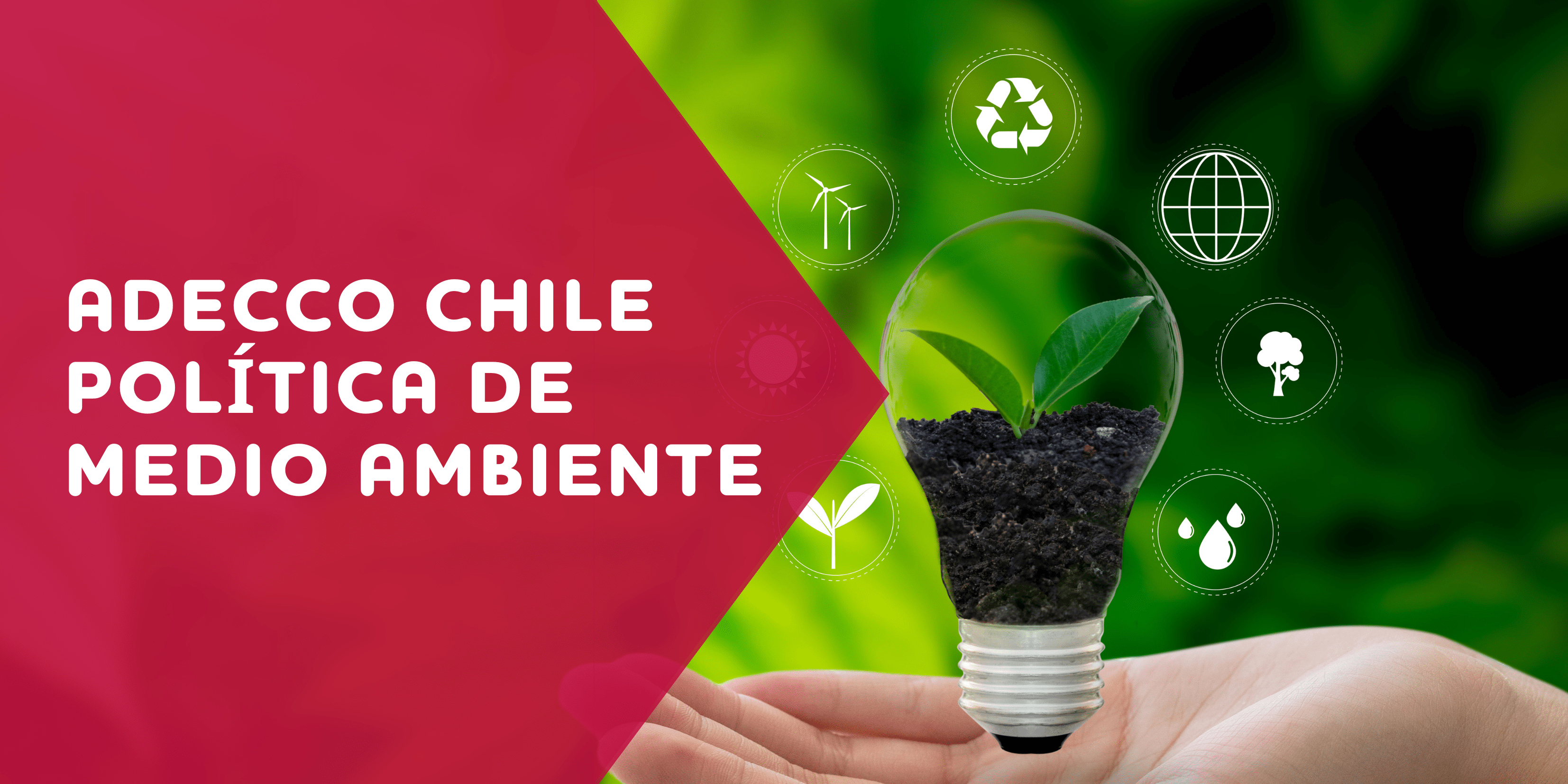 Adecco Chile politica de medio ambiente