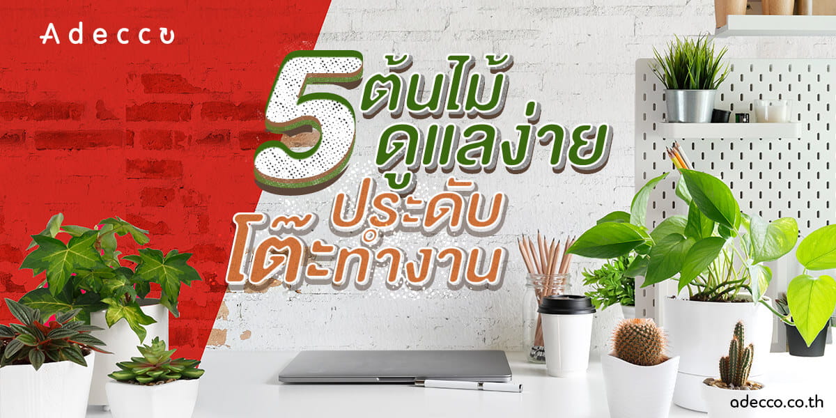 5_TreeInOffice_2_1200x600-2