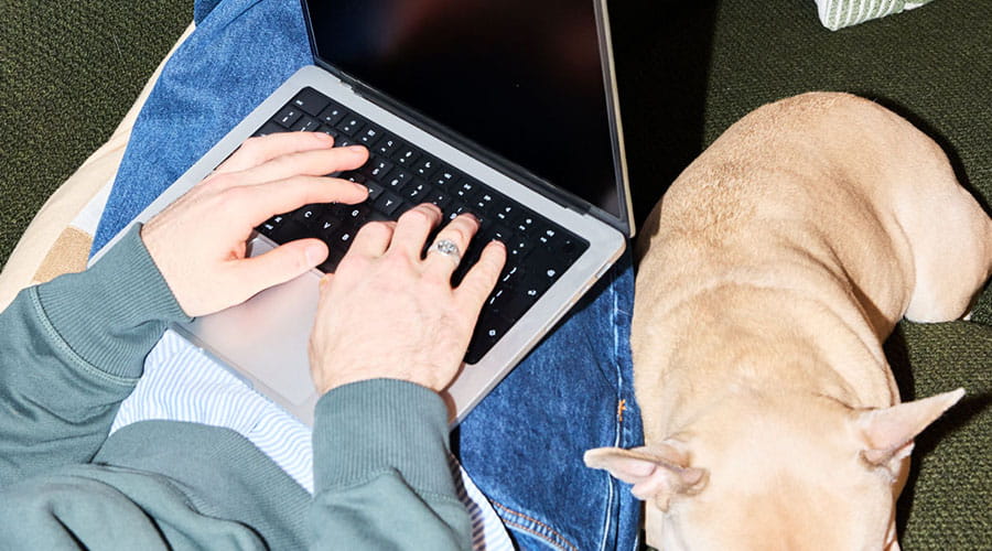 Persoon werkt op laptop met hond in de buurt