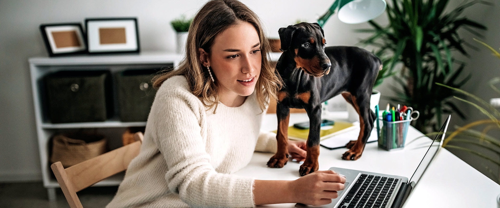 A person working from home, sitting at a desk with a laptop, while a small black and tan puppy stands beside them. A person working from home, sitting at a desk with a laptop, while a small black and tan puppy stands beside them.