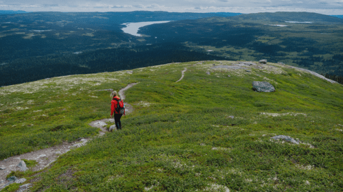 Vestland_ Frde
