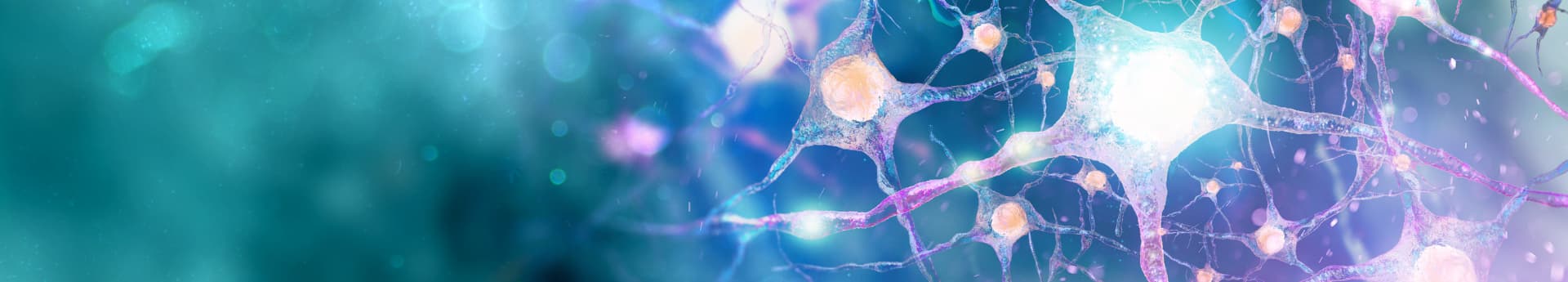 banner-artikel---neurodiversiteit-op-de-werkplek
